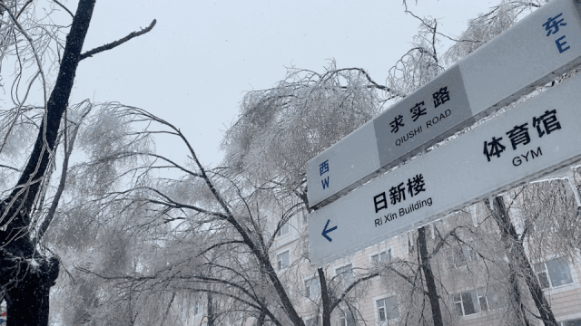 老虎机平台