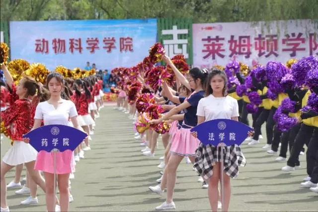 老虎机平台
