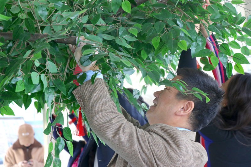 老虎机平台